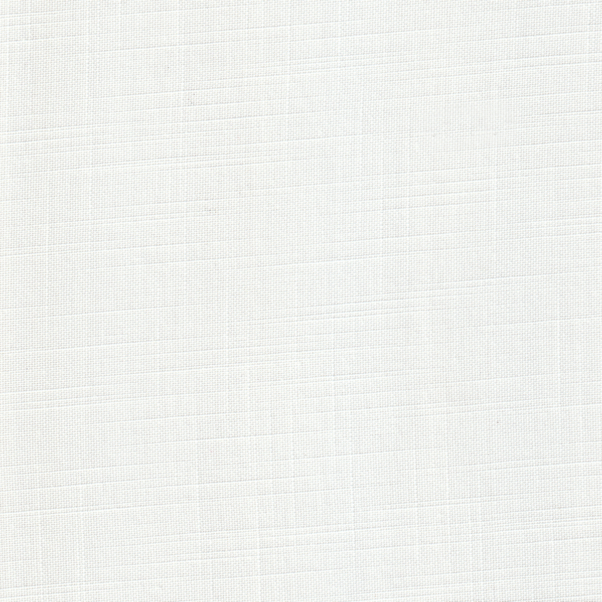 Tergal Line De 3 m Cream
